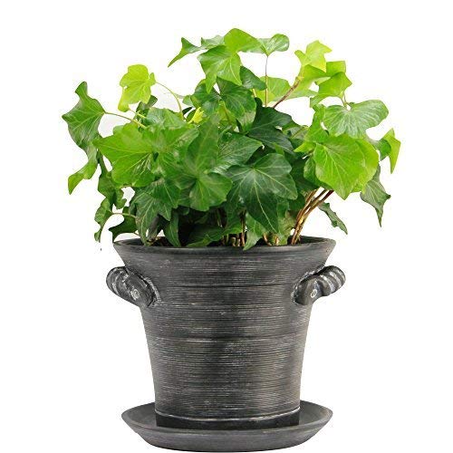 Rustic Charm 6 Planter - High quality decorative ceramic pot for indoor use