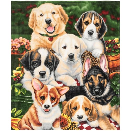 Puppy Fleece Blanket - Queen Size Soft Plush Dog Throw Blanket - Ideal