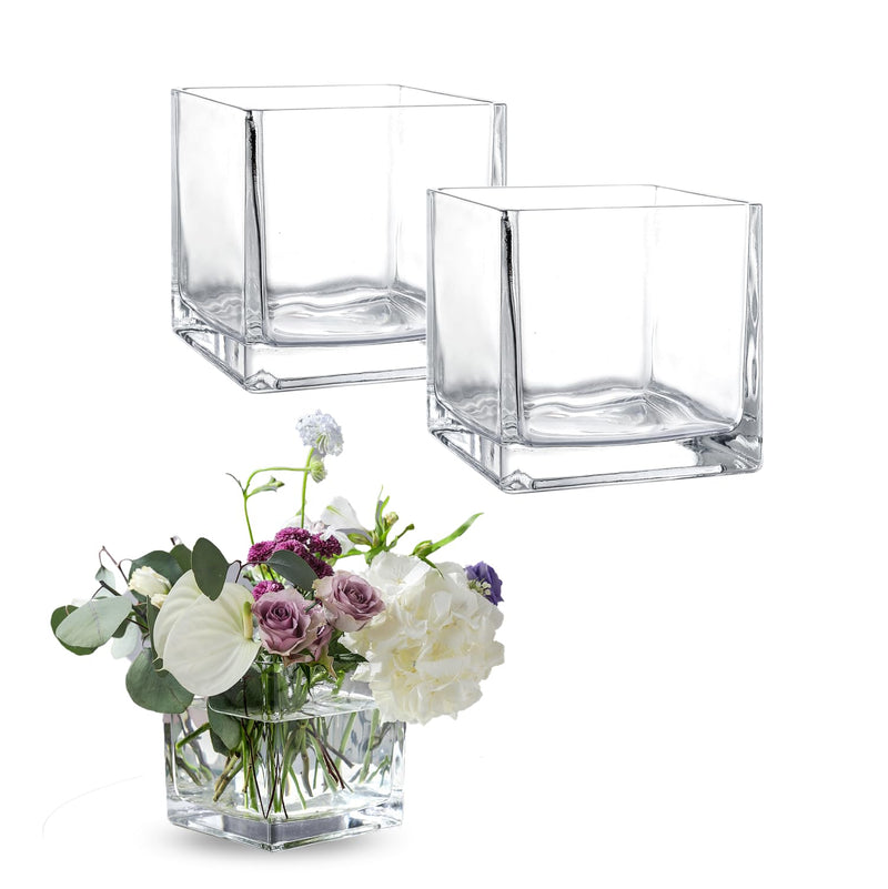 Square clear glass vases in a set of 2 - small vases for elegant flower centerpieces