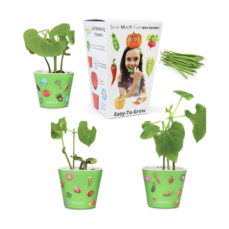 Bean planting and planting kit, have fun seed starting, vegetable planting and growing