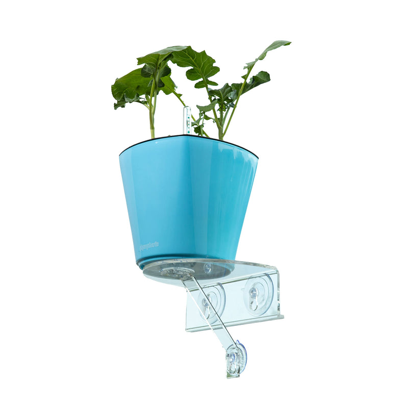 Window Shelf for Plants and Self-Watering Planters in a Package - Windowsill Vegetables