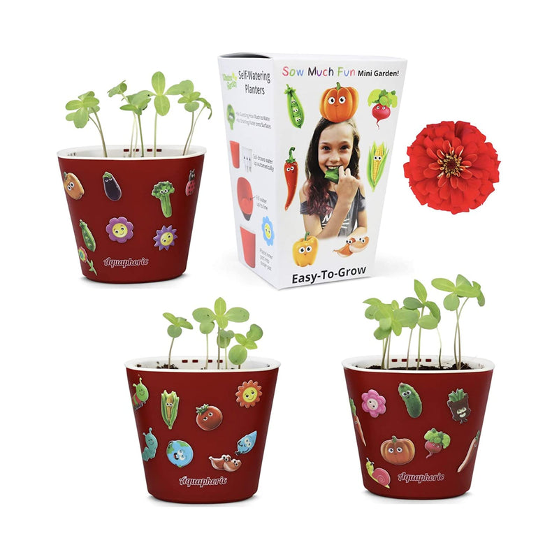 The sowing, flower planting and growing set for children is a lot of fun, for 3 people