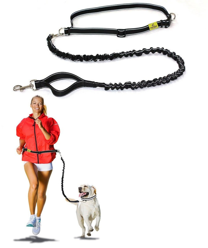 Great Running Leash Hands Free Dog Leash for Medium to Large Dogs - Strong