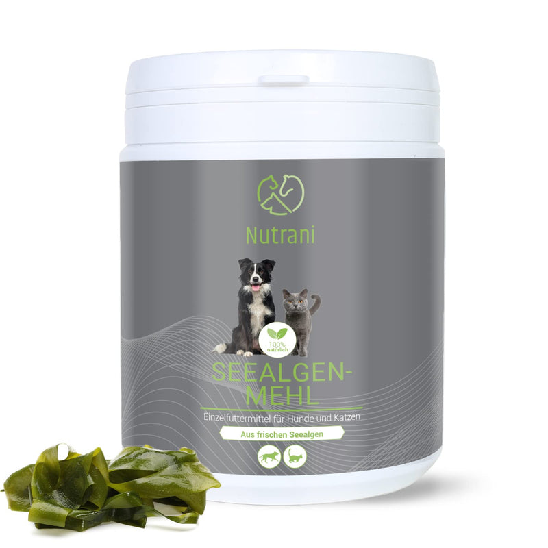 Seaweed Meal For Dogs And Cats 500 G 100 Natural Powder From The