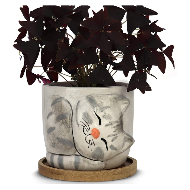 Animal - Large Cat Pot (Barney), perfect for indoor live houseplants