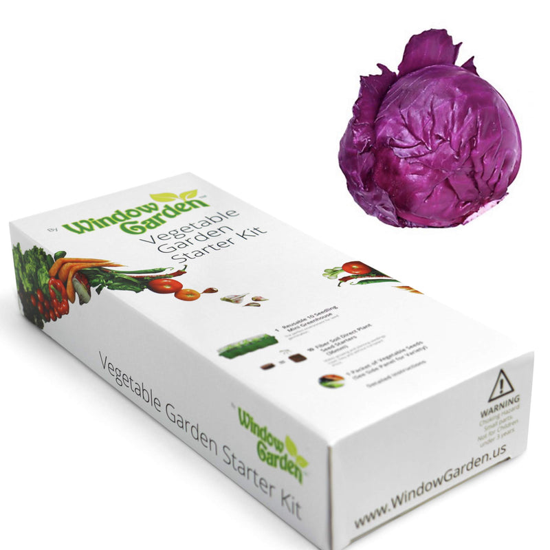 - Red Cabbage Vegetable Starter Kit - Grow your own food, germinate seeds