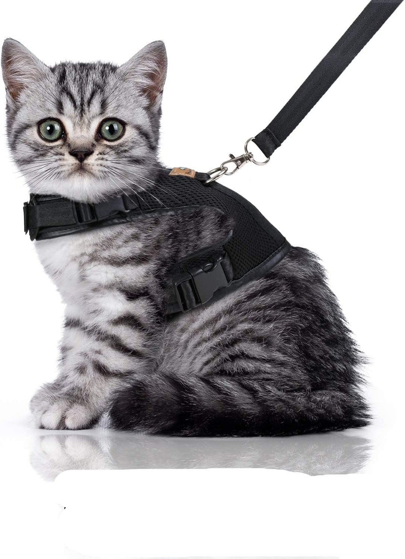 Bella Balu cat harness including leash, escape-proof and robust