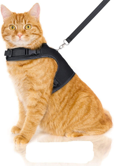 Bella Balu cat harness including leash, escape-proof and robust