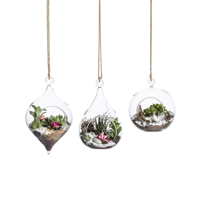 Glass Hanging Plant Terrarium Holder Large Size - Succulent/Moss/Air