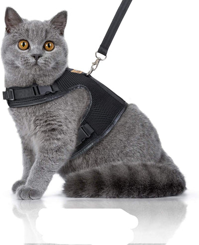 Bella Balu cat harness including leash, escape-proof and robust