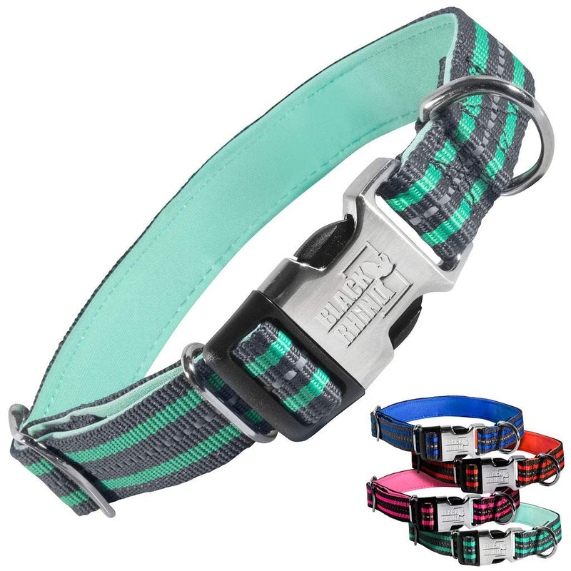 - The hybrid striped dog collar (small) for medium and large breeds, robust