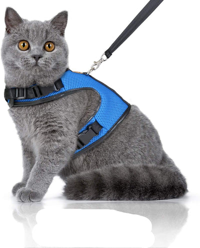 Bella Balu cat harness including leash, escape-proof and robust