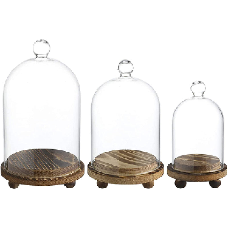 Mini Cloche Glass Dome with Wooden Base Set of 3 DIY Snow Globes