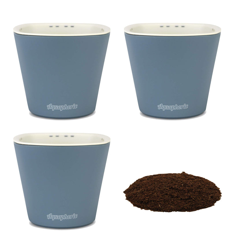 Aquaphoric Self-Watering Mini Planters (Pack of 3) grow on the indoor windowsill