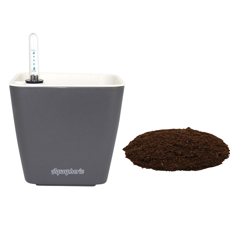 Aquaphoric Self-Watering Plant Pot 5 and fiber soil create a foolproof indoor home