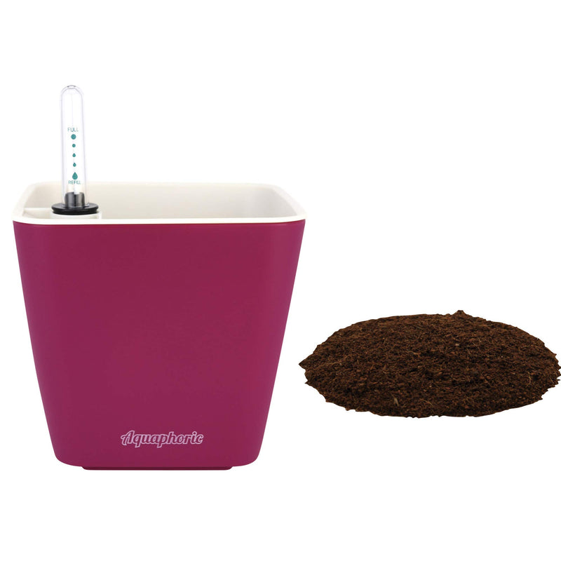 Aquaphoric Self-Watering Planter (5) + Foolproof Indoor Fiber Soil