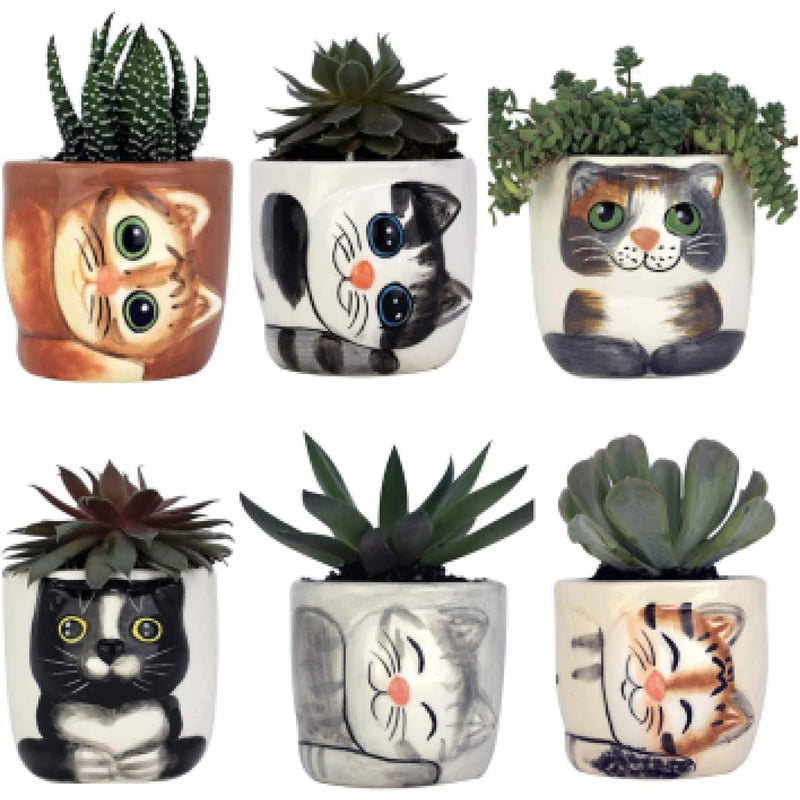 Cute Cat Planter - 6 Mini 3" Succulent Kitten Pots - Cute Flower Pots