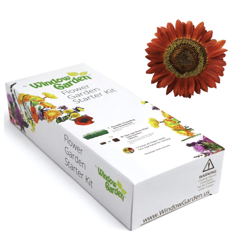 - Evening Sun Sunflower Flower Starter Kit – Grow Beauty Germinate Seeds