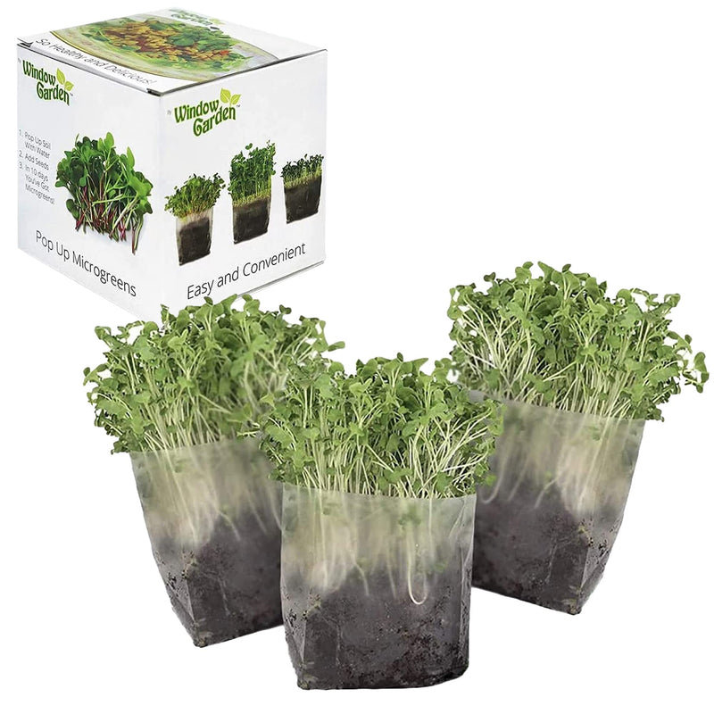 Pop-up microgreens kit (kale), simply add water and perfect size seeds.