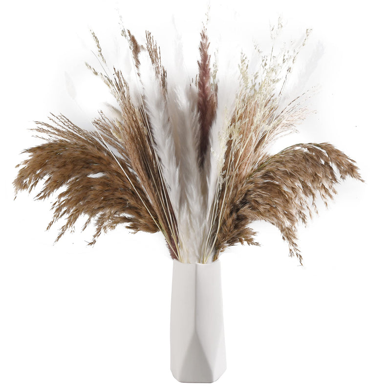 Tranquil Beauty Pampas Grass For Vases Dried Pampas Grass Decoration