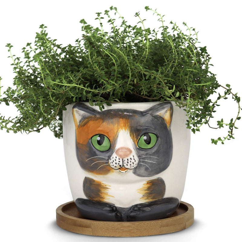 Animal Planters - Large Cat Pot (Barney), perfect for indoor use