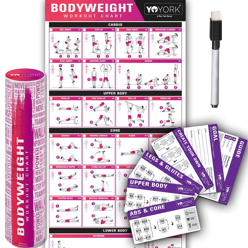 Bodyweight Training Workout Poster - Laminated Home Gym Workout