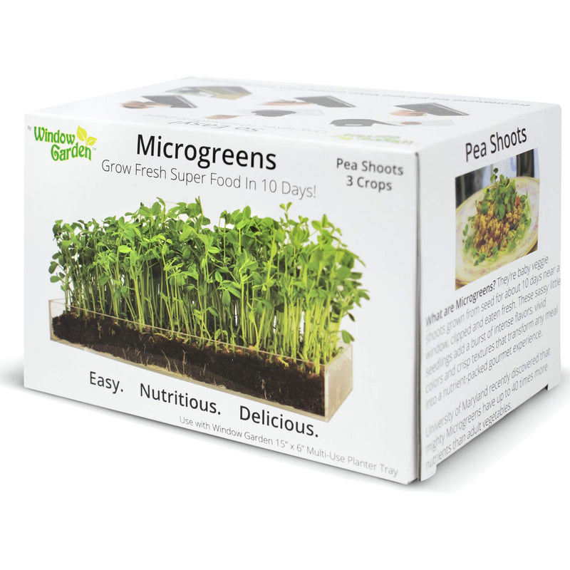 Microgreen Organic Pea Sprouts Refill Pack of 3 for use with the Grow N Serve Kit