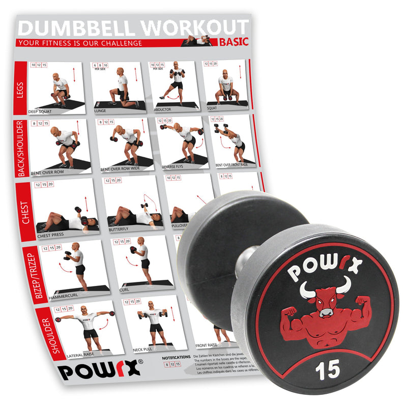 Professional single round dumbbell including workout I rubber dumbbell coating