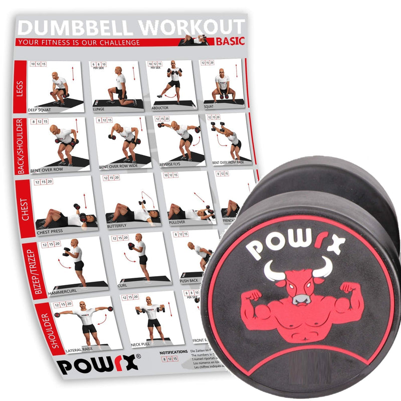 Professional single round dumbbell including workout I rubber dumbbell coating