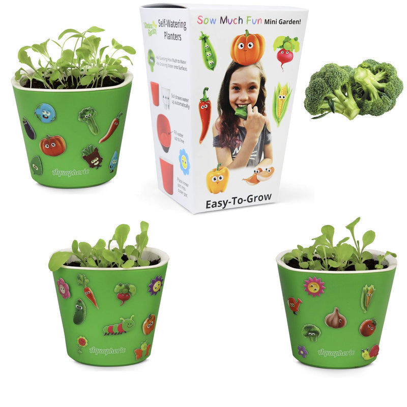 Sow with lots of fun, set for planting seeds, planting and growing vegetables for children, 3