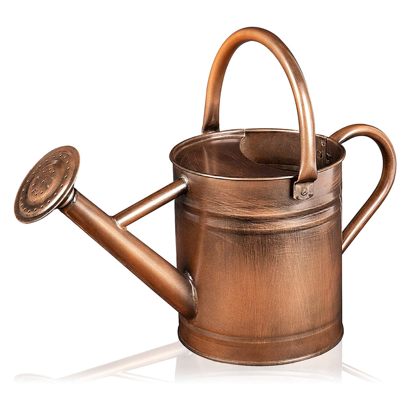 Metal Watering Can - 81 Ounce Copper Watering Can with Removable Spout - Galvanized