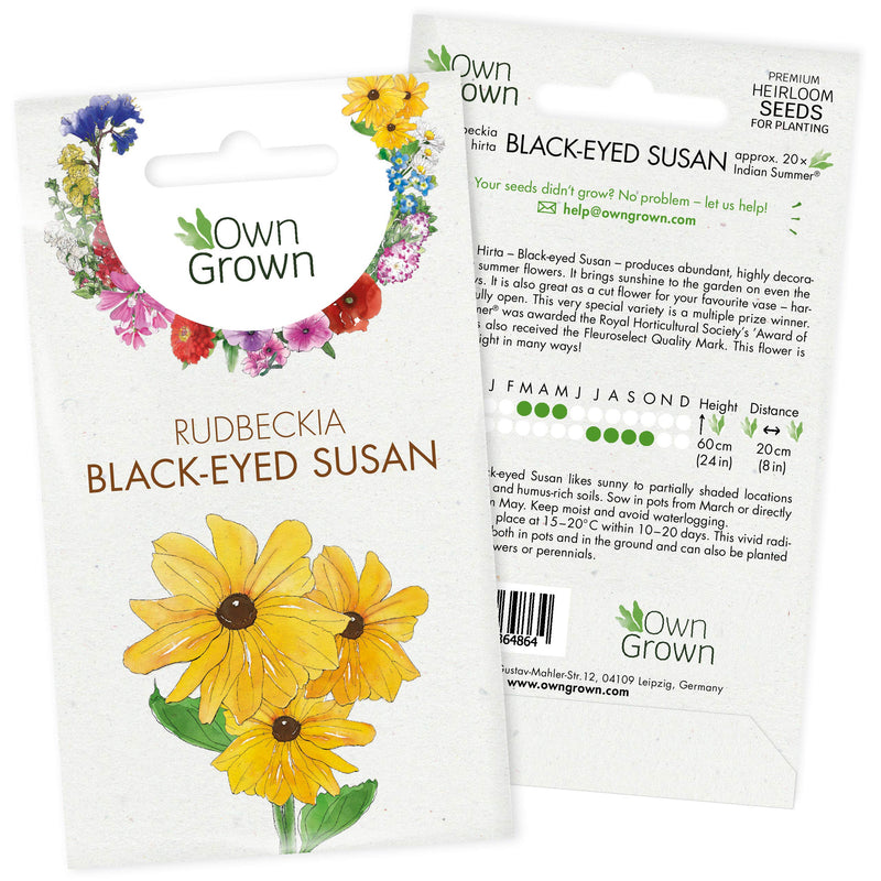 Grow Your Own Black Eyed Susan: Premium Black Eyed Susan Seeds For 20 Black Eyed Susan Plants – Rudbeckia Hirta Plant Seeds – Rudbeckia Seeds For Gardening Flowers – Summer Flower Seeds By Owngrown