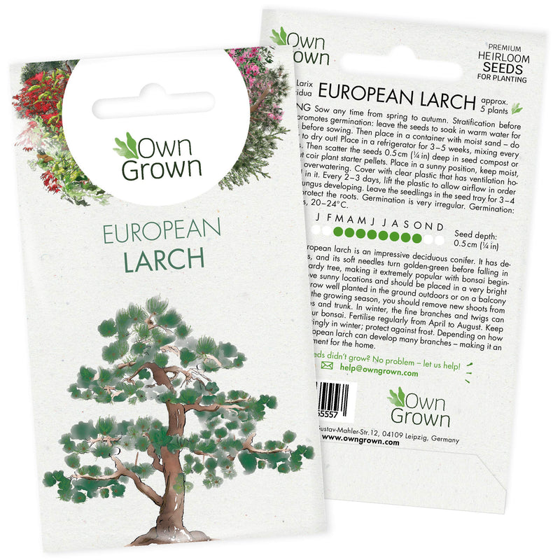 Grow Your Own Bonsai Trees: Premium Bonsai Seeds For European Larch – 5 European Larch Bonsai Seeds – Larix Decidua Bonsai Tree Seeds – Conifer Seeds To Grow Your Own Plant Indoor, Seed By Owngrown