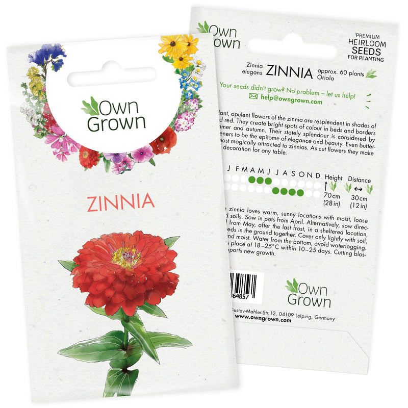 Grow Your Own Zinnia Flowers: Premium Zinnia Seeds For 60 Zinnia Plants – Outdoor Flower Seeds – Summer Seeds – Zinnia Seeds For Gardening Flowers – Summer Flower Seeds – Zinnias Seeds By Owngrown