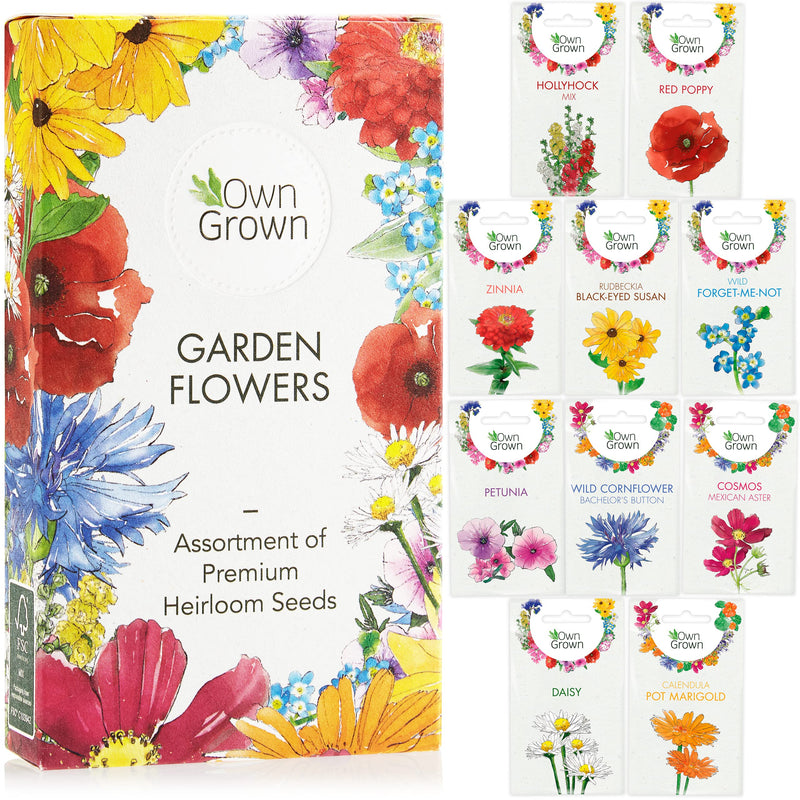 Grow your own flowers garden and balcony flower seeds set with 10 beautiful varieties