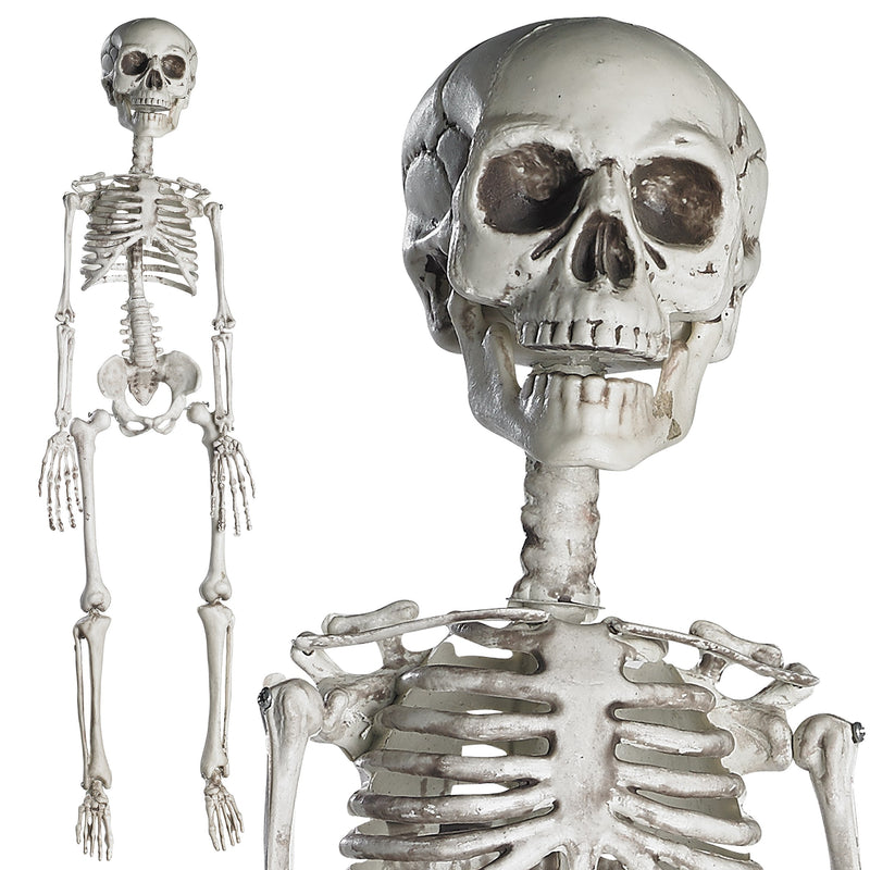 76cm Halloween Skeleton Complete Skeleton With Movable Joints For The