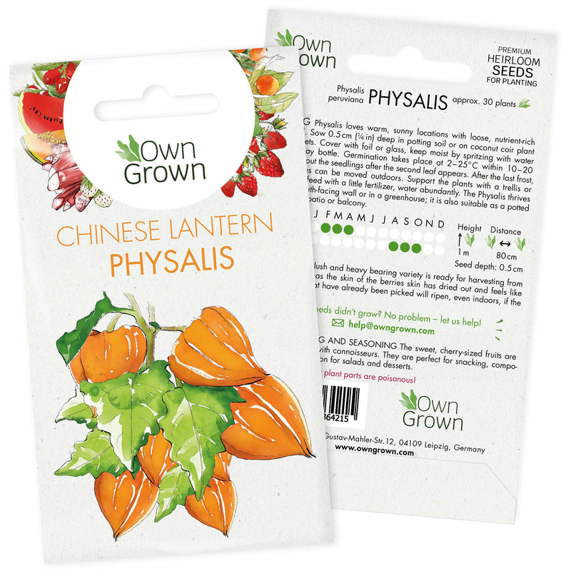 Grow Your Own Physalis Plants: Premium Chinese Lantern Seeds For Planting Ca. 30 Tasty Garden And Balcony Plants - Exotic Fruit Seeds - Seed For Chinese Lantern Plant - Berry Seeds Fruit By Owngrown