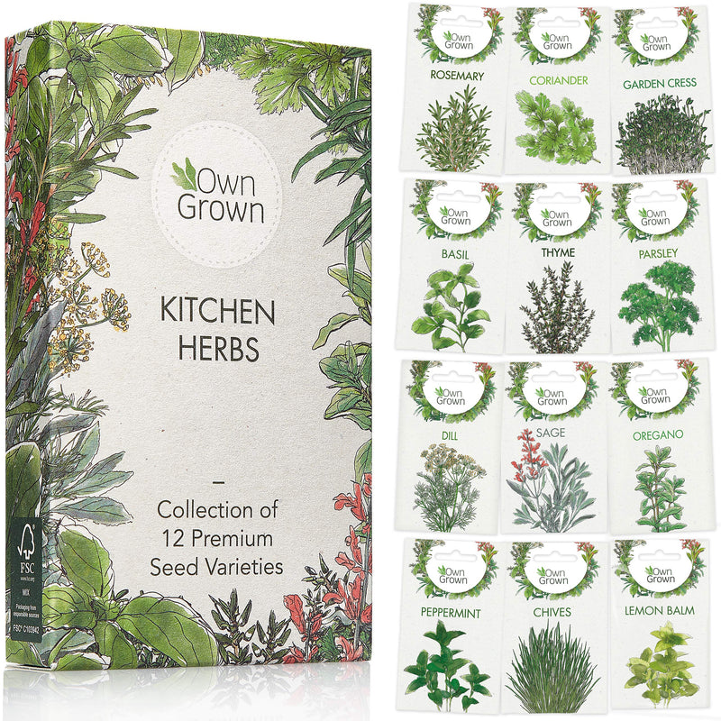 Kitchen herb seed set, 12 types of kitchen herbs as practical