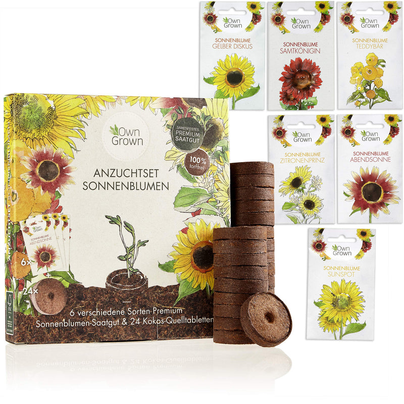 Sunflower growing set with 6 varieties and 24 coconut swelling tablets for easy