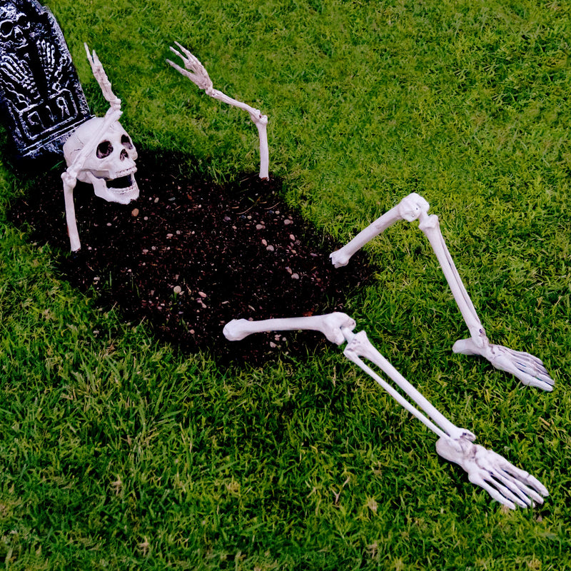 Creepy cemetery decoration for Halloween. Skeleton rising from the earth for yours