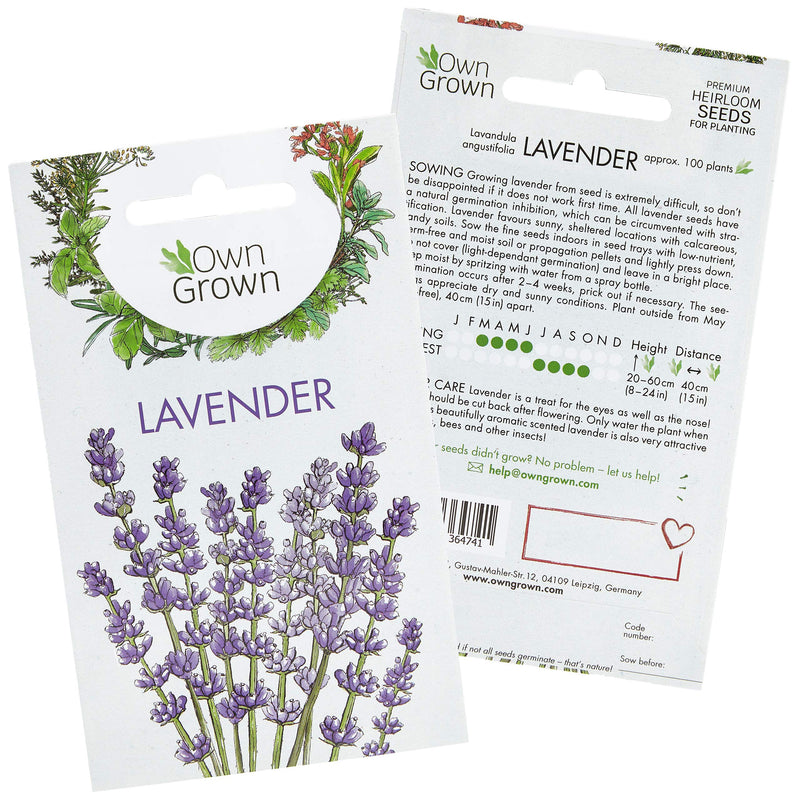 Lavender Plant Seeds: Premium Perennial Lavender Seeds For Ca 100 Lavender Plants Outdoor And Indoor – Garden Ready Hardy Plant Seeds – Lavender Seeds For Planting – Perennial Plants Seeds By Owngrown