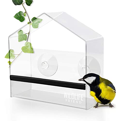 WILDLIFE FRIEND | WINDOW FEEDING HOUSE FOR BIRDS I TRANSPARENT WITH SUCTION CUPS I BIRD HOUSE