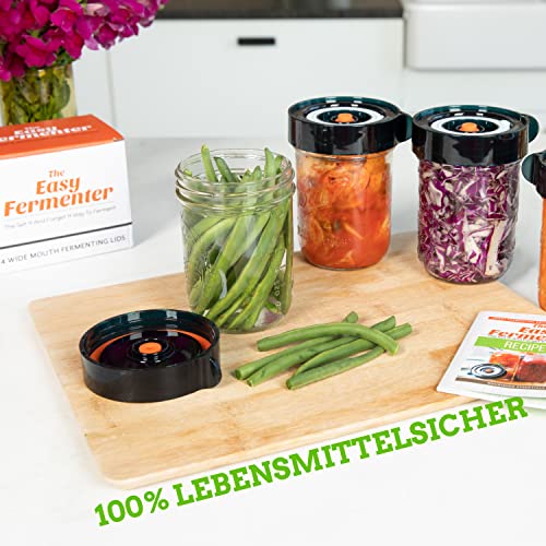 Fermentation starter set