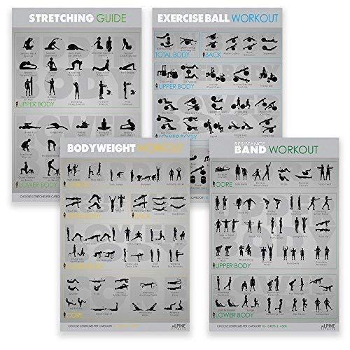 Exercise Fitness Posters Laminated Gym Planner Charts For Good