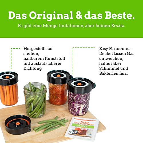 Fermentation starter set