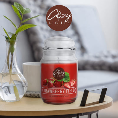 Cozy Lights Large scented candle 625ml Burn time up to 140 hours