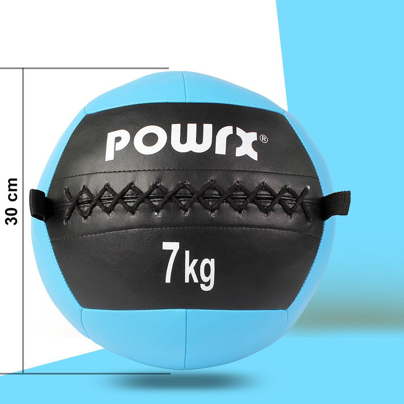 Wallball weight ball medicine ball Deluxe Professional 210 kg various colors