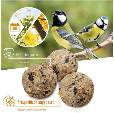 WILD ANIMAL HEART | BIRD DREAM - NATURAL TIT BALLS WITH INSECT FAT WITHOUT A NET I SPECIES-PROPER MADE OF INSECT FAT I QUALITY BIRD FEED FOR WILD BIRDS