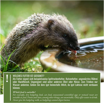 WILD ANIMAL HEART I SPECIES-appropriate hedgehog food 1 kg – special food for hedgehogs with an extra portion of protein for optimal energy supply