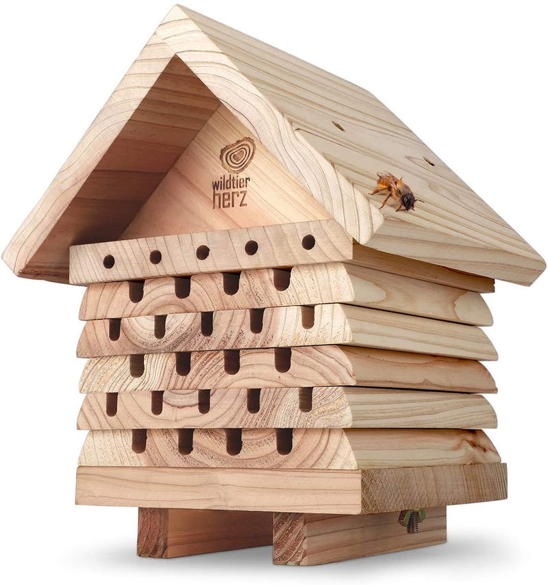 WILD ANIMAL HEART I BEE HOTEL